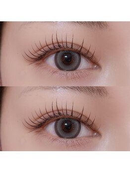 コウメ(coume)/ブラウンフラットラッシュ