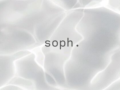ソフ(soph.)の写真
