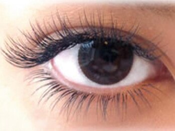 トータルビューティー パッション 茨木(Total Beauty Passion)/マツエク フラットラッシュ