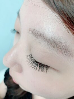 私のビューティー/セーブルフラットラッシュ