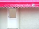 コットンローズ(Cotton Rose)の写真