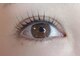エル(EL)の写真/経験豊富なスタッフが、マンツーマン施術で理想のお目元叶えます♪軽さ・キープ力の高さに自信あり◎