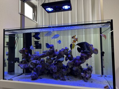 ウィズスタイル(With Style)の写真