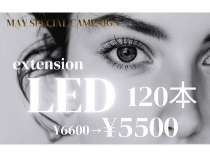 ルシエル(le ciel)の写真