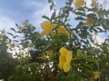 ザ スパ バイ タイムスケープ(THE SPA by TIMeSCAPE)/【沖縄の自然に包まれる時間】