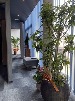 スローミー(slowmmy)/植物も元気いっぱい☆