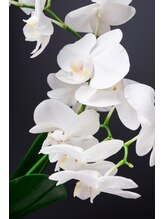 ほぐし家 京都&nbsp;リョウ 