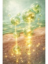 ルミライ(Lumirai)/ナノリポソーム構造インセルダム