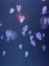 ナイスデイ(Niceday!) まき
