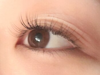 ウタ アイラッシュ(uta eyelash)/【100本】