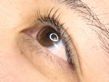 コボアイラッシュ(COVO.eyelash)/人気！シングル100本