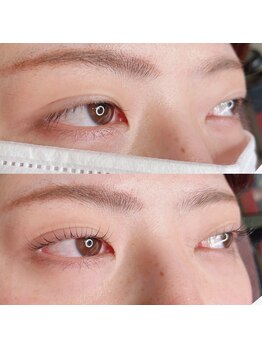 シピリカ(Shiprica.)/