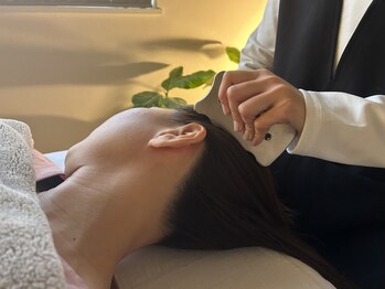 スロウ(slow)/次は頭蓋骨まわり