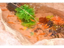 舒爽館 台湾式マッサージ/