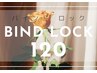 【 バインドロック 120束】