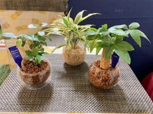 バランス整体サロン ノリノリ(NORINORI)/店内グリーン