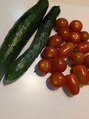 マナスタ(mana stu) 家庭菜園！ネギ、きゅうり、トマト、サンチュ！大量に取れてます