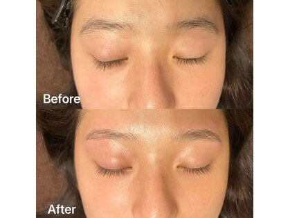 パピヨン(papillon)の写真