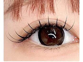 プラータ(PLATA)/160本☆