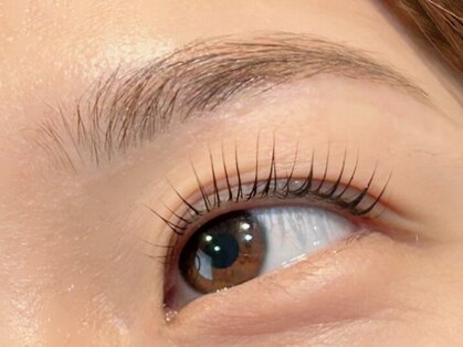 ソル(SOL)の写真