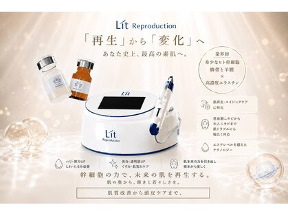リベア(Re-Bear)の写真