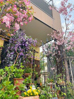 みもざ治療院/