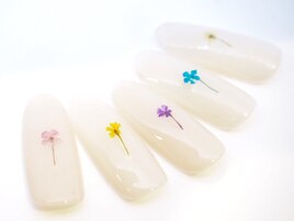 ドライフラワー