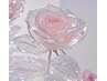 ●平日限定●【全メニュー¥500オフ】初回オフ無料