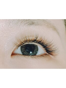 エクステの種類が豊富