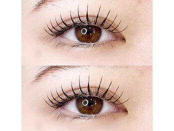 メリス(Mellis)の写真/フラットラッシュ100本¥5720/120本¥6270!!モチが良く、羽のような軽さで付け心地◎人気の束間仕上げもOK♪
