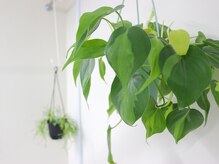 整体えびす丸 大阪本町店/