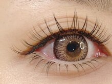 ザラボアングゥ(The Labo ungu)/【上下マツエク】