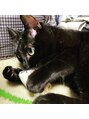 ソルナ ウメダ(Soluna UMEDA)&nbsp;愛猫のハル