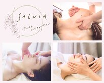 サルビア(SALVIA)