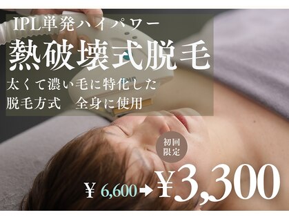 アルト(ALTO)の写真