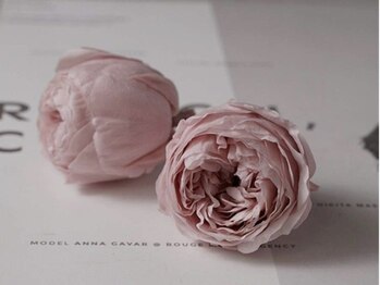 ミョンシル(myonsil)/