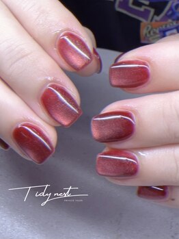 ティディーネスト(Tidynest)/マグネットネイル