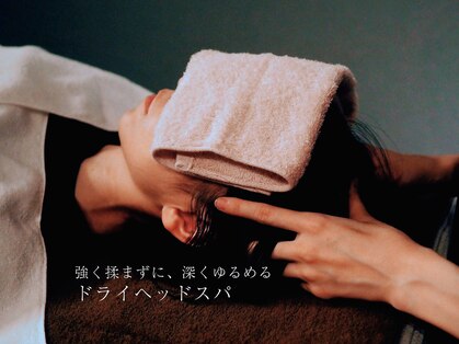 フリージア(Freesia)の写真