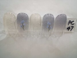 季節の定額6900円コ―ス