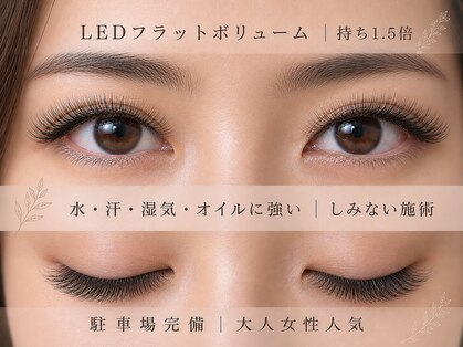 チック(chick)の写真