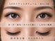 チック(chick)の写真