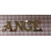 ネイルサロン アンジュ(Nail salon ANGE)のお店ロゴ