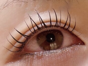 カラン 焼津店(CALIN)/シンプリフィ