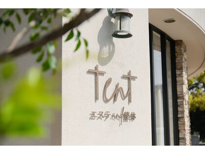 テン(tent)の写真