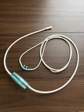 サリエ(Salier)/カニューレ