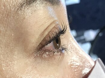 ピクシーボブ(Pixie Bob)/★直角スタイル