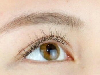 ディアリー(Dearly)/フラットラッシュ /LEDマツエク