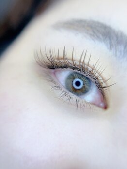 ヴォヤージュ アキタ(VOYAGE AKITA)/エクステ