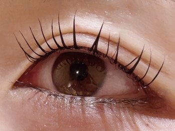 カラン 焼津店(CALIN)/シンプリフィ