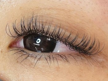 ウルカ アイラッシュ(uruka EYELASH)/フラットラッシュ　140本